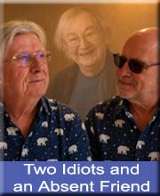 2 Idiots
